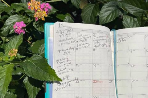 Rwfmwjdltifkxm Rwfmwjdltifkxm